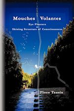 Mouches Volantes - Eye Floaters as Shining Structure of Consciousness