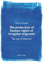 The protection of human rights of irregular migrants