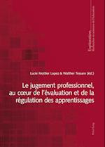 Le Jugement Professionnel, Au Coeur de l'Evaluation Et de la Regulation Des Apprentissages