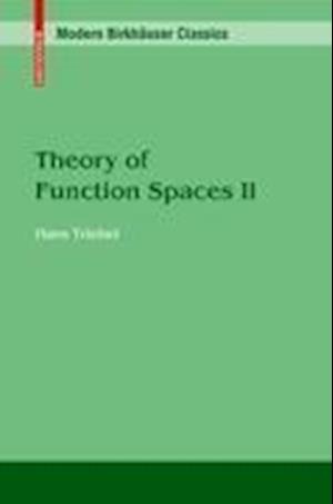 Theory of Function Spaces II