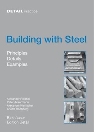 Building with Steel