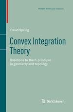 Convex Integration Theory