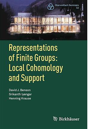 Representations of Finite Groups: Local Cohomology and Support