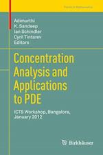 Concentration Analysis and Applications to PDE