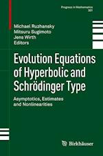 Evolution Equations of Hyperbolic and Schrödinger Type