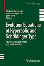 Evolution Equations of Hyperbolic and Schrodinger Type