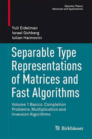 Separable Type Representations of Matrices and Fast Algorithms