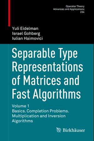 Separable Type Representations of Matrices and Fast Algorithms