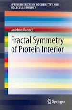 Fractal Symmetry of Protein Interior