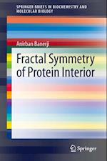 Fractal Symmetry of Protein Interior