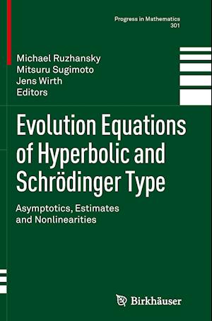 Evolution Equations of Hyperbolic and Schrödinger Type