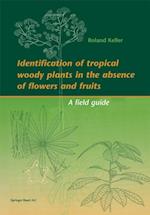 Identification of tropical woody plants in the absence of flowers and fruits