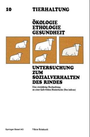 Untersuchung zum Sozialverhalten des Rindes