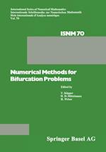 Numerical Methods for Bifurcation Problems