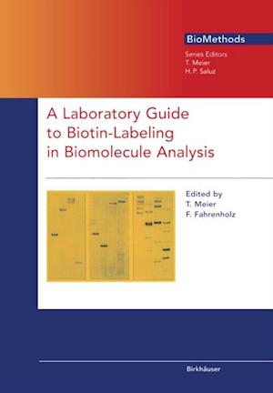 Laboratory Guide to Biotin-Labeling in Biomolecule Analysis