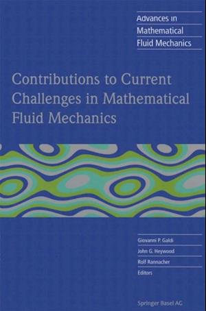 Contributions to Current Challenges in Mathematical Fluid Mechanics