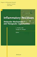 Inflammatory Processes: : Molecular Mechanisms and Therapeutic Opportunities 