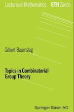 Topics in Combinatorial Group Theory