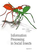 Information Processing in Social Insects