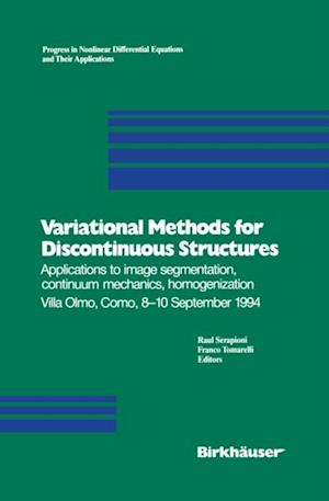 Variational Methods for Discontinuous Structures