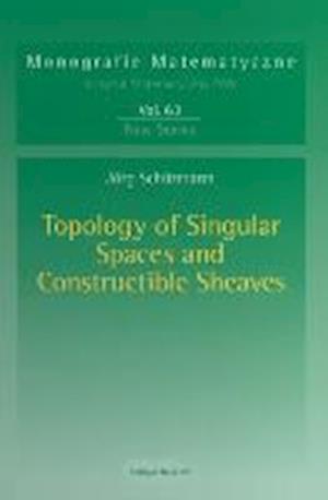 Topology of Singular Spaces and Constructible Sheaves