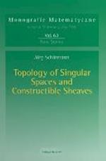 Topology of Singular Spaces and Constructible Sheaves