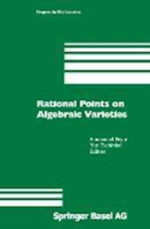 Rational Points on Algebraic Varieties