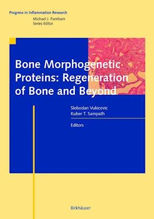 Bone Morphogenetic Proteins: Regeneration of Bone and Beyond