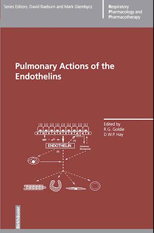 Pulmonary Actions of the Endothelins