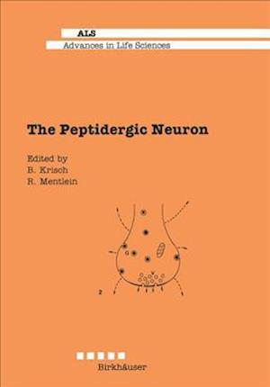 The Peptidergic Neuron