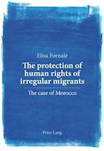 protection of human rights of irregular migrants
