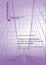 Pratiques et représentations sociales des langues en contexte scolaire plurilingue