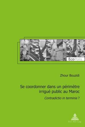 Se coordonner dans un périmètre irrigué public au Maroc