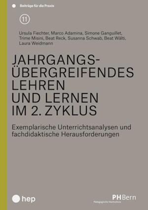 Jahrgangsübergreifendes Lehren und Lernen im 2. Zyklus (E-Book)