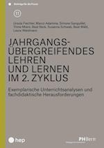 Jahrgangsübergreifendes Lehren und Lernen im 2. Zyklus (E-Book)