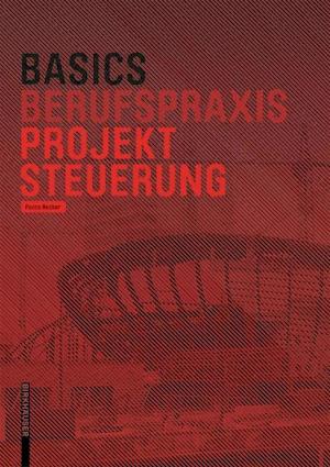 Basics Projektsteuerung