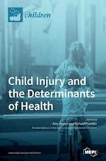 Child Injury and the Determinants of Health 
