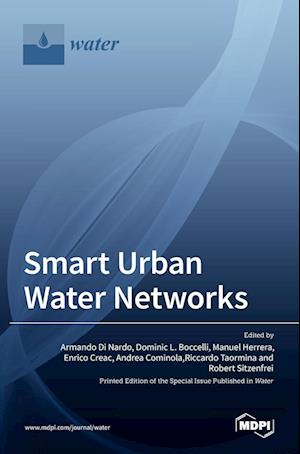 Smart Urban Water Networks