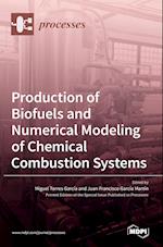 Production of Biofuels and Numerical Modeling of Chemical Combustion Systems