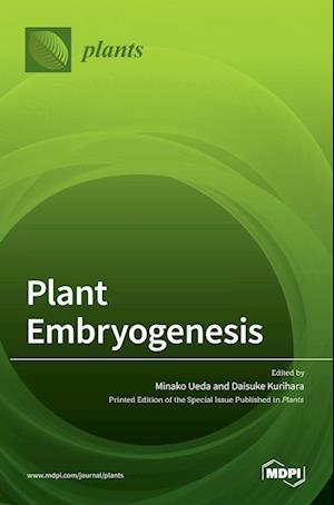 Plant Embryogenesis