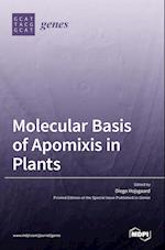 Molecular Basis of Apomixis in Plants 