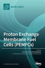 Proton Exchange Membrane Fuel Cells (PEMFCs) 