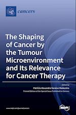 The Shaping of Cancer by the Tumour Microenvironment and Its Relevance for Cancer Therapy 
