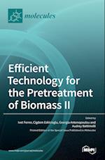 Efficient Technology for the Pretreatment of Biomass II 