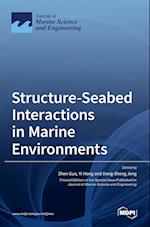 Structure-Seabed Interactions in Marine Environments 