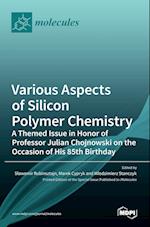 Various Aspects of Silicon Polymer Chemistry