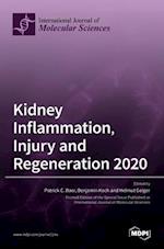 Kidney Inflammation, Injury and Regeneration 2020 