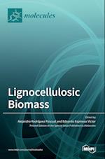 Lignocellulosic Biomass 