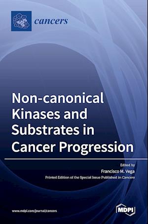 Non-canonical Kinases and Substrates in Cancer Progression