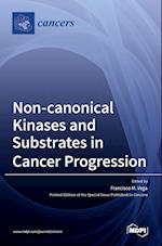 Non-canonical Kinases and Substrates in Cancer Progression 